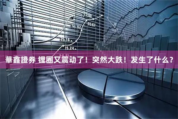華鑫證券 锂圈又震动了！突然大跌！发生了什么？