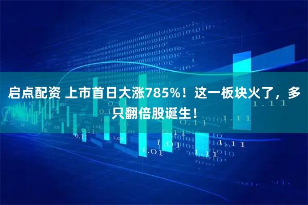 启点配资 上市首日大涨785%！这一板块火了，多只翻倍股诞生！
