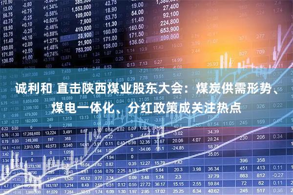 诚利和 直击陕西煤业股东大会：煤炭供需形势、煤电一体化、分红政策成关注热点