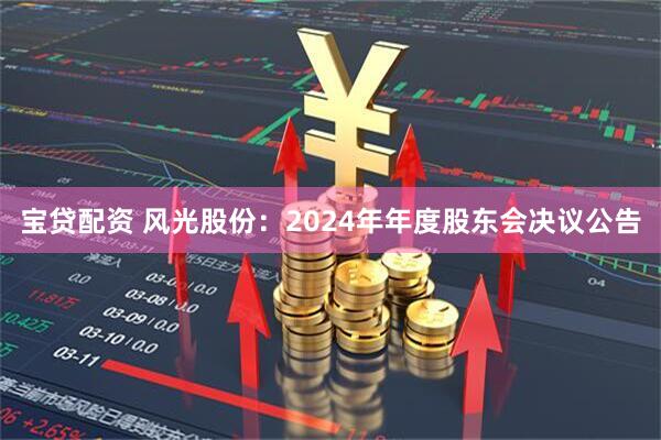 宝贷配资 风光股份：2024年年度股东会决议公告