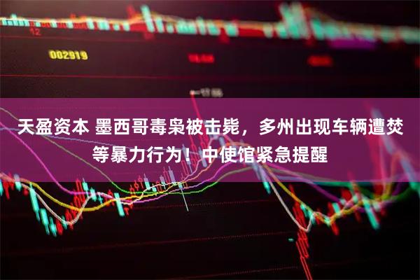 天盈资本 墨西哥毒枭被击毙,多州出现车辆遭焚等暴力行为!中使馆紧急提醒