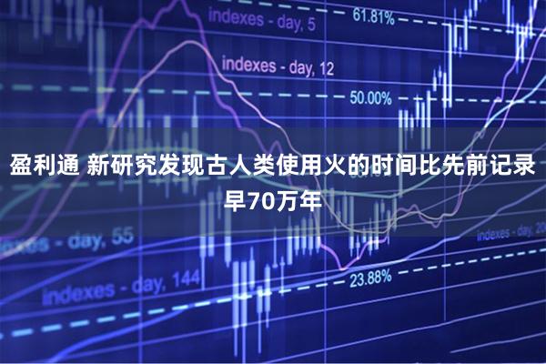 盈利通 新研究发现古人类使用火的时间比先前记录早70万年